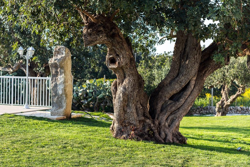 Il Giardino Dei Frangipani Appartement Santa Croce Camerina Buitenkant foto